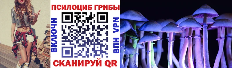 Псилоцибиновые грибы MAGIC MUSHROOMS Вихоревка
